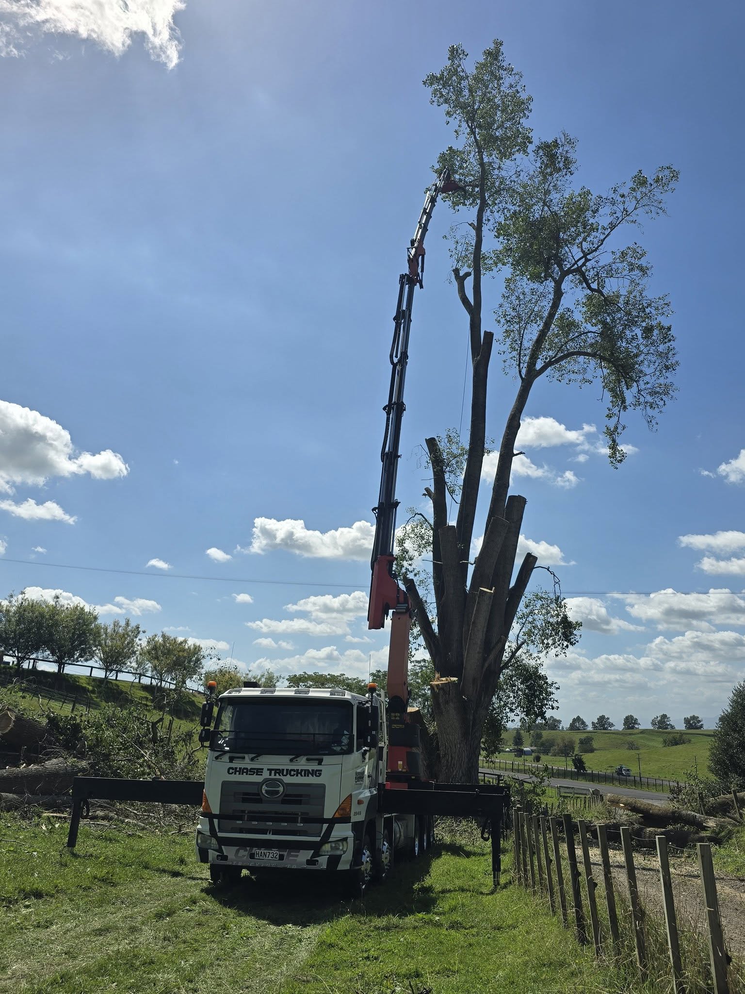 Tree and section clearing Hamilton Waikato grapple truck